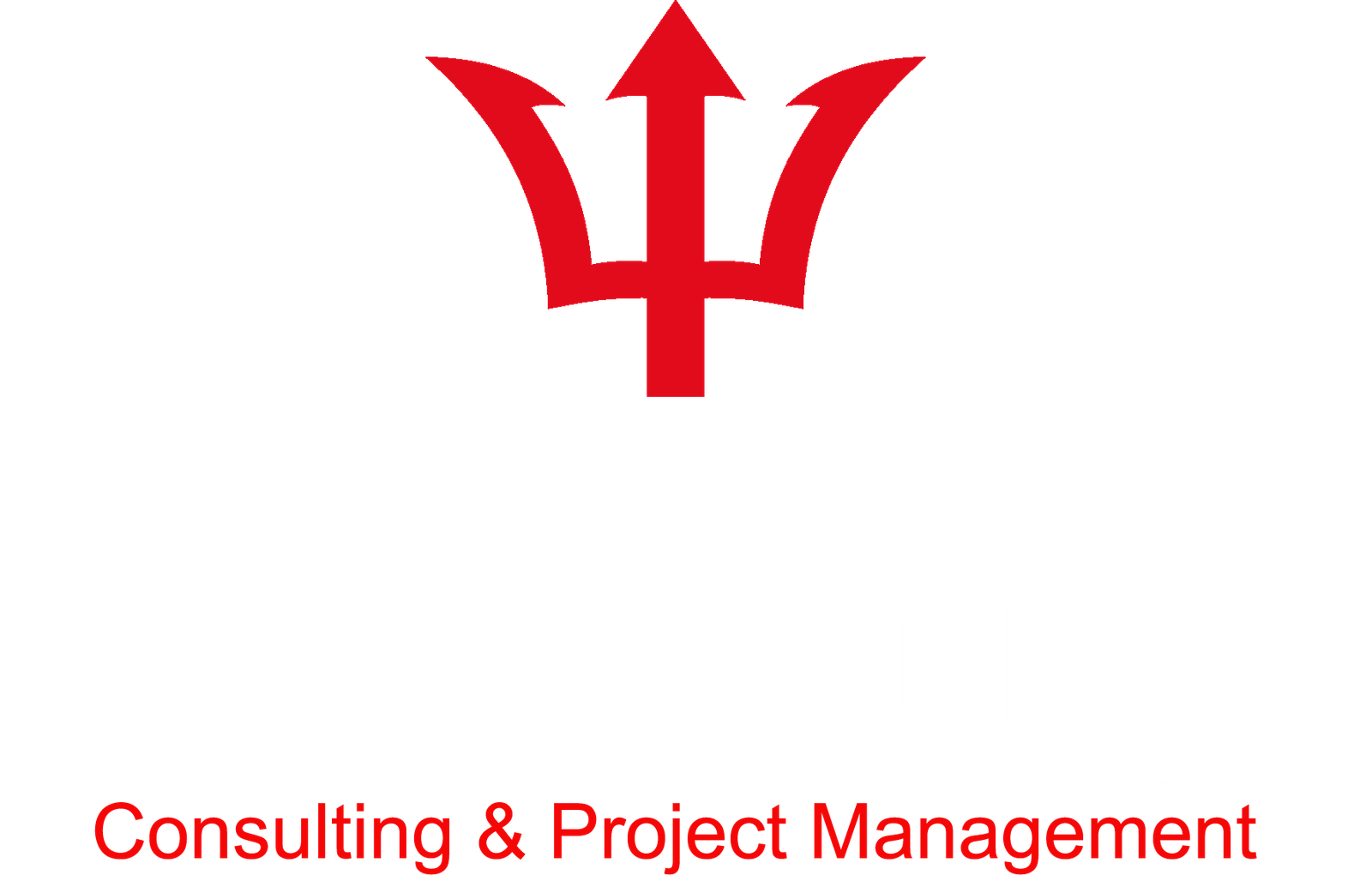 Trident Consulting and Project Management